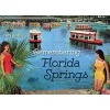 Remembering Florida Springs (Paperback) - Tim Hollis Photo