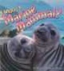 What is a Marine Mammal? (Paperback) - Jacqueline Langille Photo