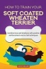 How to Train Your Soft Coated Wheaten Terrier (Dog Training Collection) - Combine Love and Kindness with Positive Reinforcement and No-Fail Techniques (Paperback) - Cathy Millan Photo