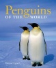 Penguins of the World (Paperback, 2nd) - Wayne Lynch Photo