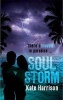 Soul Storm (Paperback) - Kate Harrison Photo