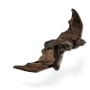 Brown Bat Puppet (Book) - Folkmanis Puppets Photo