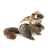 Eastern Chipmunk Puppet (Book) - Folkmanis Puppets Photo