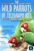 Wild Parrots of Telegraph Hill (Region 1 Import DVD) - Bittner Mark Photo