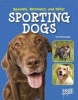 Spaniels, Retrievers, and Other Sporting Dogs (Hardcover) - Tammy Gagne Photo