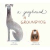 Greyhound, a Groundhog (Hardcover) - Emily Jenkins Photo