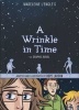 A Wrinkle in Time - The Graphic Novel (Hardcover) - Hope Larson Photo