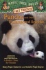 Pandas and Other Endangered Species - A Nonfiction Companion to Magic Tree House #48: A Perfect Time for Pandas (Paperback) - Mary Pope Osborne Photo