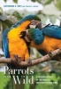 Parrots of the Wild - A Natural History of the World's Most Captivating Birds (Hardcover) - Catherine Ann Toft Photo