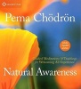 Natural Awareness - Guided Meditations and Teachings for Welcoming All Experience (CD) - Pema Chodron Photo