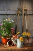 Garden Shed Tools with Flower Pots Journal - 150 Page Lined Notebook/Diary (Paperback) - Cool Image Photo