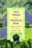 Ten Trees and a Truffle Dog - Sniffing Out the Perfect Plot in Provence (Hardcover) - Jamie Ivey Photo