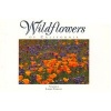 Wildflowers of California (Paperback) - Nevada Photo