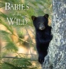 Babies of the Wild (Hardcover) - Carl R Sams Photo