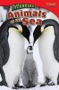 Endangered Animals of the Sea (Challenging Plus) (Paperback, 2nd) - William Brice Photo