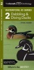 Cornell Lab of Ornithology Waterfowl Id: #2 Dabbling Ducks & Diving Ducks (Pamphlet) - Kevin J McGowan Photo