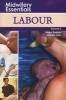 Labour, Volume 3 (Paperback) - Helen Baston Photo