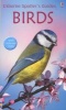 Birds (Paperback, Revised edition) - Peter Holden Photo