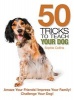 50 Tricks to Teach Your Dog (Paperback) - Sophie Collins Photo