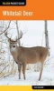 Whitetail Deer (Paperback) - Jack Ballard Photo