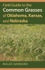 Field Guide to the Common Grasses of Oklahoma, Kansas, and Nebraska (Paperback) - Iralee Barnard Photo