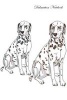 Dalmation Notebook Record Journal, Diary, Special Memories, to Do List, Academic Notepad, and Much More (Paperback) - Pet Care Inc Photo