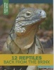 12 Reptiles Back from the Brink (Paperback) - Samantha S Bell Photo