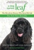 Dog Named Leaf - The Hero from Heaven Who Saved My Life (Paperback) - Allen Anderson Photo