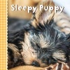 Sleepy Puppy (Board book) - Sterling Publishing Company Photo