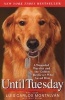 Until Tuesday - A Wounded Warrior and the Golden Retriever Who Saved Him (Paperback) - Luis Carlos Montalvan Photo