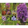 Growing Hardy Orchids (Paperback) - Philip Seaton Photo