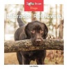 Labrador Retrievers (Hardcover) - Leo Statts Photo