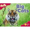 Oxford Reading Tree: Level 4: More Fireflies A: Big Cats (Paperback) - Deborah Chancellor Photo