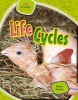 Life Cycles (Hardcover) - Angela Royston Photo