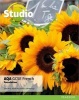 Studio AQA GCSE French Foundation Student Book, Foundation (Paperback) - Clive Bell Photo