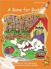 A Bone for Buddy, Level 1 - Fluency (Paperback, International edition) - Jack Gabolinscy Photo