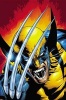 Wolverine Epic Collection: Shadow of Apocalypse (Paperback) - Erik Larsen Photo