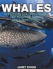 Whales - Super Fun Coloring Books for Kids and Adults (Bonus: 20 Sketch Pages) (Paperback) - Janet Evans Photo