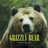 Grizzly Bear Calendar 2017 - 16 Month Calendar (Paperback) - David Mann Photo