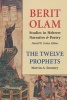 Berit Olam, Volume 1 - Hosea, Joel, Amos, Obadiah, Jonah (Hardcover) - Marvin A Sweeney Photo