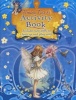 Flower Fairies Activity Book (Staple bound) - Cicely Mary Barker Photo