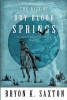 The Rise of Dry Blood Springs (Paperback) - Bryon K Saxton Photo