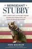 Sargeant Stubby - How a Stray Dog and His Best Friend Helped Win World War I and Stole the Heart of a Nation (Paperback) - Ann Bausum Photo