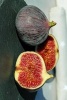 Freshly Halved Figs, for the Love of Food - Blank 150 Page Lined Journal for Your Thoughts, Ideas, and Inspiration (Paperback) - Unique Journal Photo