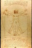 Leonardo Da Vinci's 'Vitruvian Man' Art of Life Journal (Lined) (Paperback) - Ted E Bear Press Photo