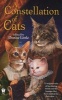 A Constellation of Cats (Paperback) - Denise Little Photo