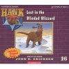 Lost in the Blinded Blizzard (CD) - John R Erickson Photo