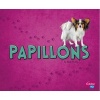 Papillons (Hardcover) - Allan Morey Photo