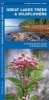 Great Lakes Trees & Wildflowers: A Folding Pocket Guide to Familiar Species (Paperback) - James Kavanagh Photo