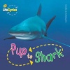 Pup to Shark (Paperback) - Camilla De la B edoy ere Photo